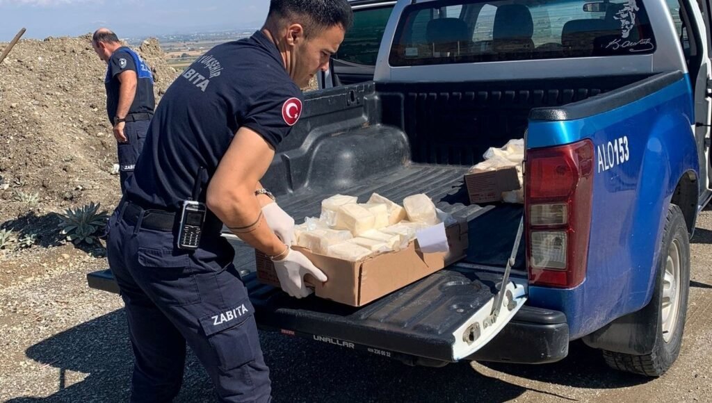Denetimler sürüyor: Kilolarca bozuk peynir imha edildi