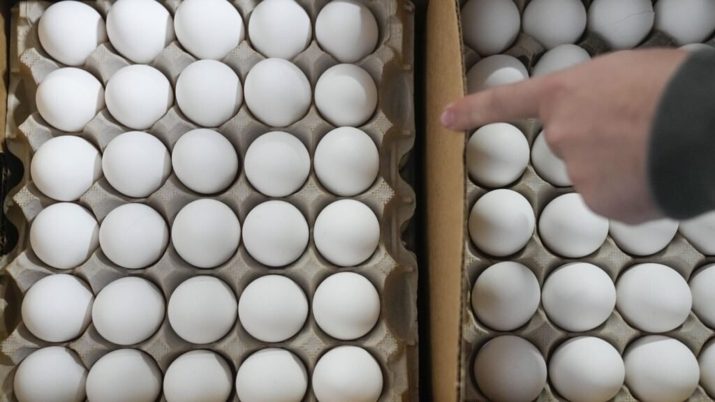 Kuş gribi Avrupa’da yayılıyor: Yumurta fiyatları yüzde 40 zamlanabilir