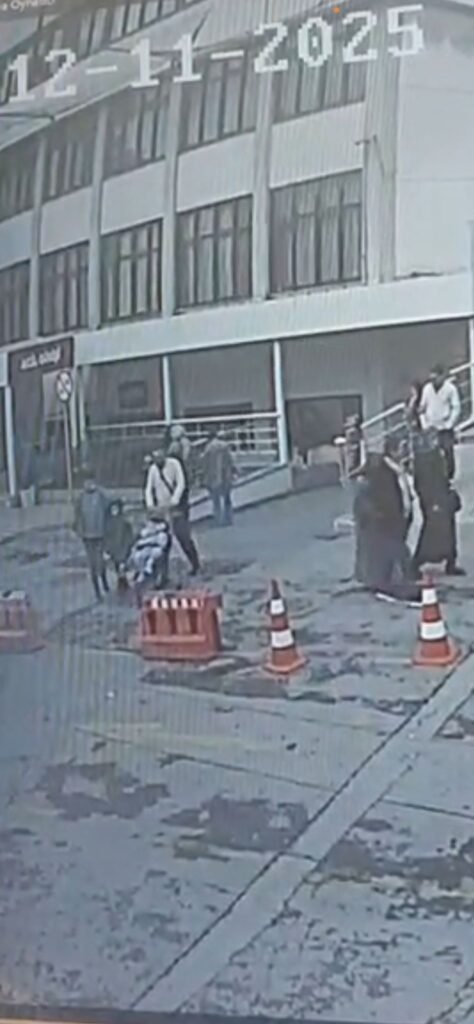 Böcek ailesine ilişkin soruşturmada yeni görüntüler ortaya çıktı