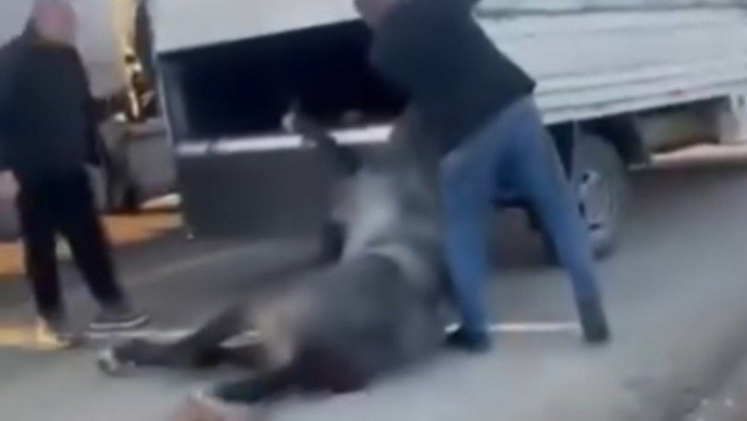 Kamyonetin arkasına bağladığı atı dakikalarca sürükledi