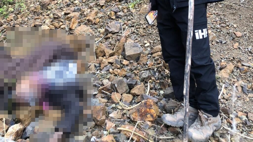 Kayıp Alzheimer hastası ölü bulundu