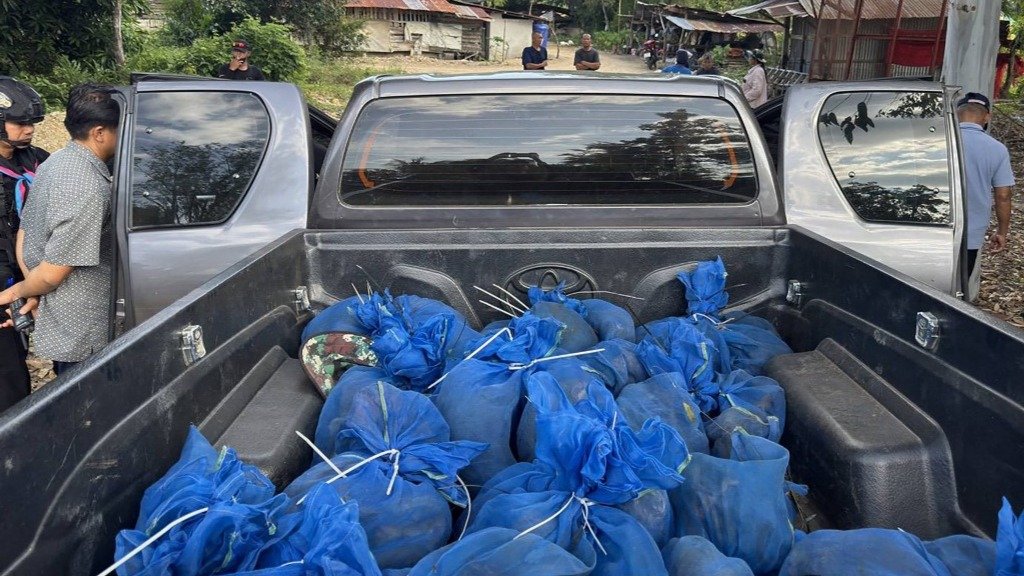 Tayland sınırında 143 maymun mavi torbalarda yakalandı