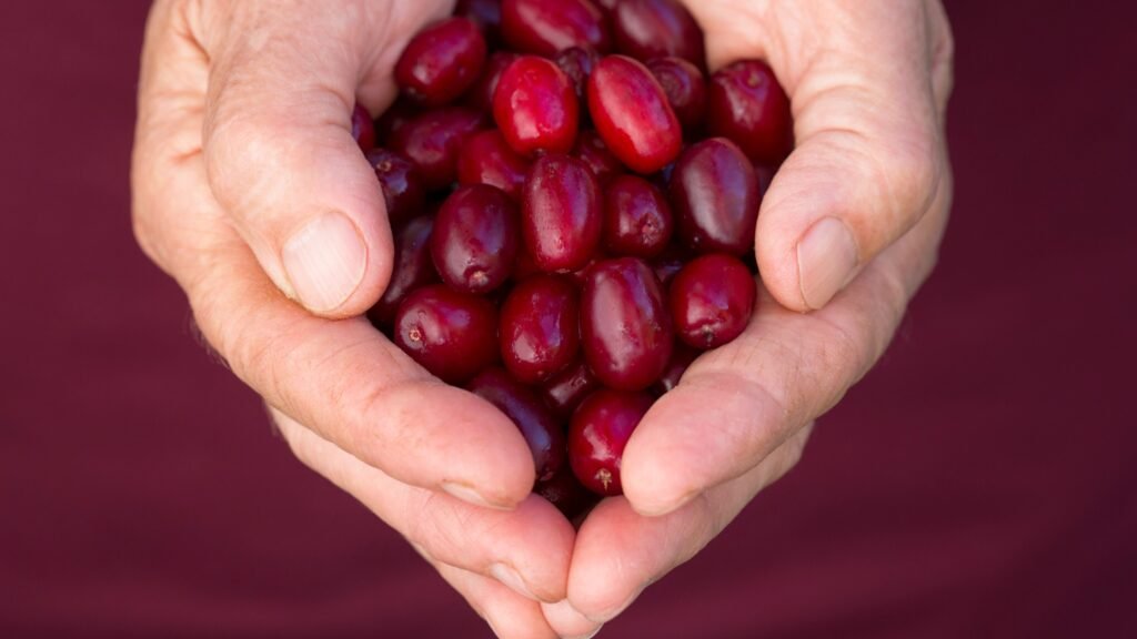 Antioksidan, C vitamini ne varsa onda. Doğal bağışıklık güçlendirici