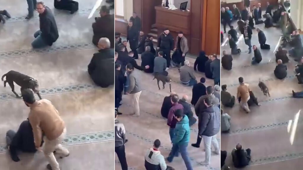 Cuma vaazı sırasında camiye pitbull girdi