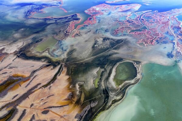 Milli park içinde bir ekosistem: Yumurtalık Lagünü’nün gölleri