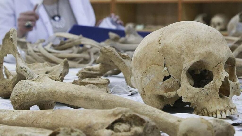 Kazablanka’nın altından tarih çıktı: 773 bin yıllık insan fosili