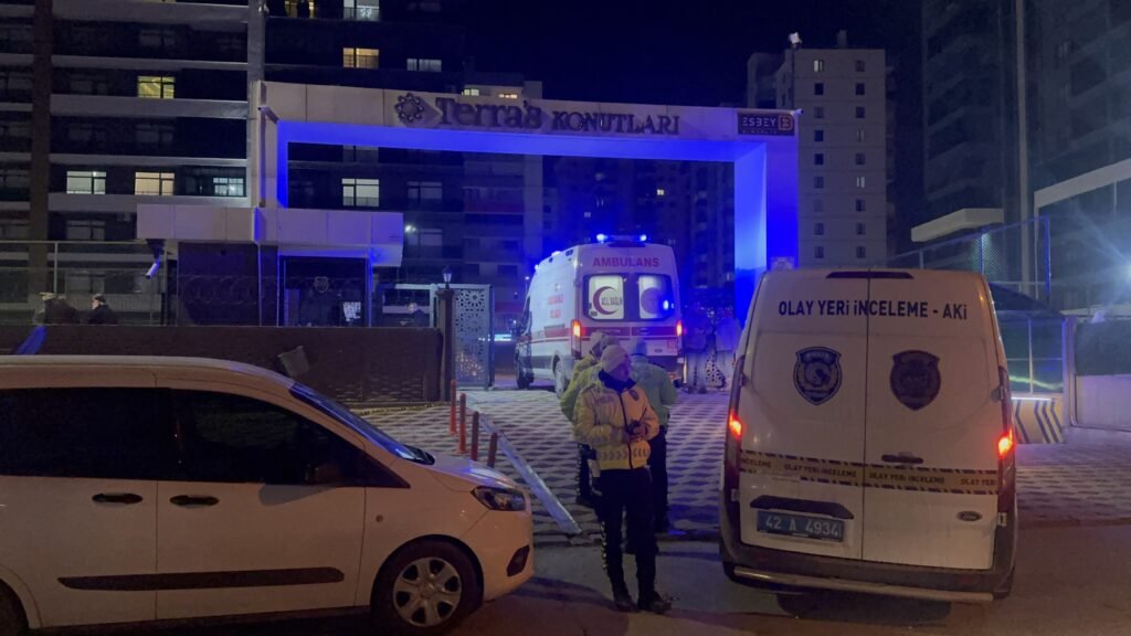 Kız kardeşini öldürüp annesini yaraladı, intihar etti