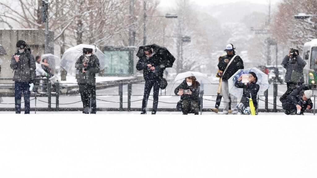 Asya’da sandık günü: Japonya’da seçmenler kar altında oy verdi, Tayland’da seçim ve referandum