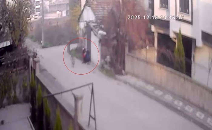 Bebek arabasından 2 milyon liralık altın çaldı