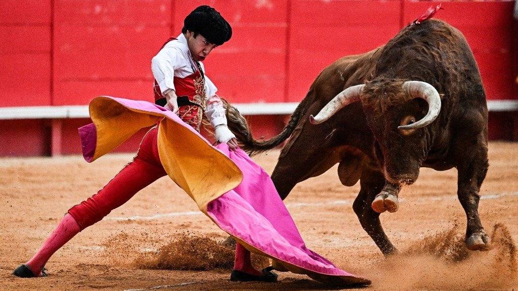 İspanya’da boğa karnavalı bu kez can aldı, 1 seyirci öldü