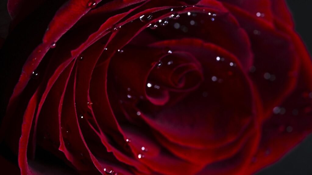 Sevgililer Günü’nde ‘Aşk Kemeri’ yıkıldı: İtalya’daki efsanevi yapı denize çöktü