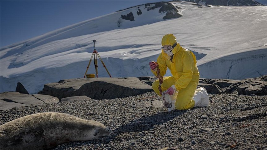 Türk bilim insanları Antarktika’daki araştırmalarıyla sağlık ve tarıma ışık tutuyor