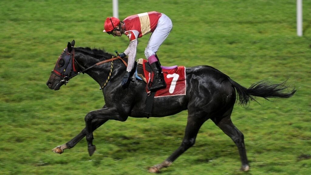 Adana’da yarış atı skandalında karar belli oldu: Kesilip kavurma yapıldı, iş insanına 132 bin TL ceza kesildi