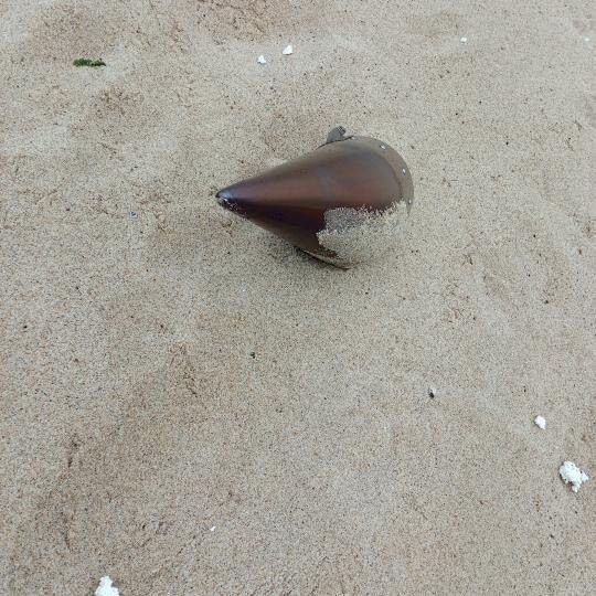 Çatalca’da kıyıya vuran füze başlığı imha edildi