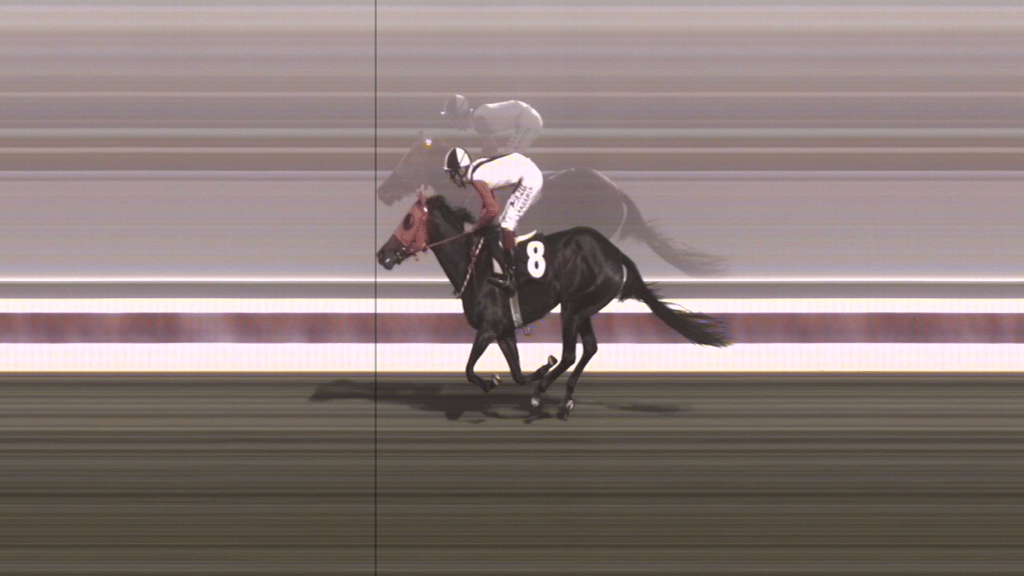 Mersin’de kavurma yapılan atın kimliği belli oldu. İngiliz atının 3 birinciliği var