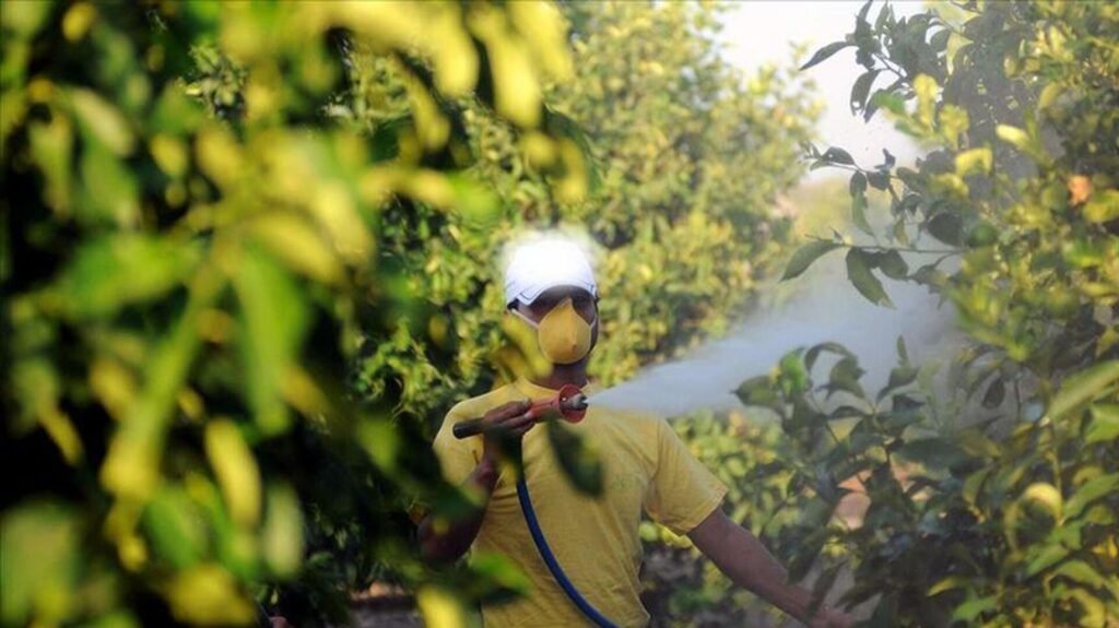 Tarım ilacı uyarısı: Parkinson riskini ciddi şekilde artırabilir